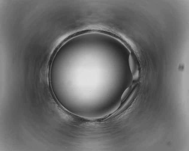 X0000091221272200708091401