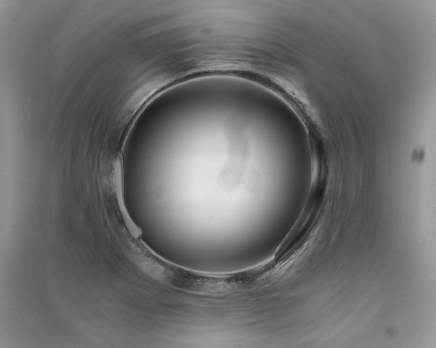 X0000091221273200708091401