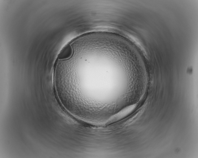 X0000091221275200708091401