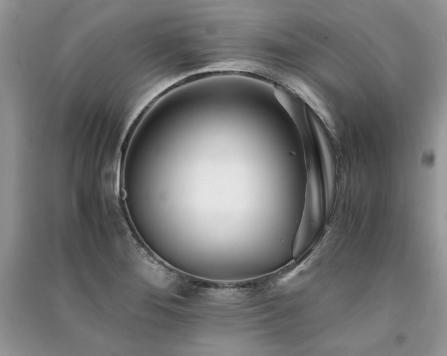X0000091221276200708091401