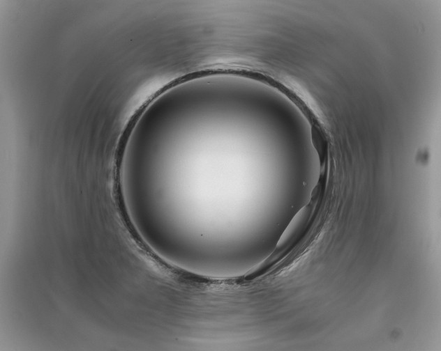 X0000091221277200708091400