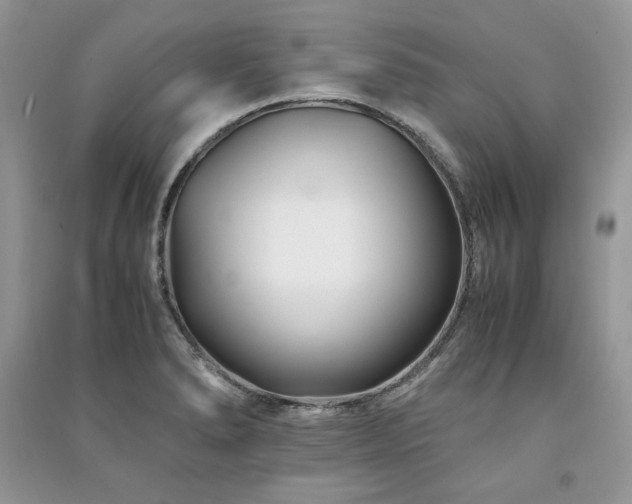X0000091221278200708091400
