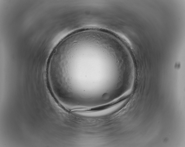 X0000091221279200708091400