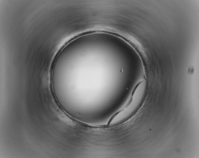 X0000091221280200708091400