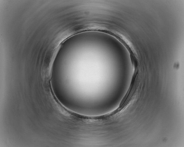 X0000091221281200708091400