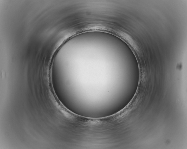 X0000091221282200708091400