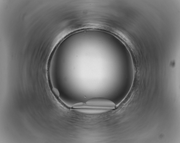 X0000091221283200708091400