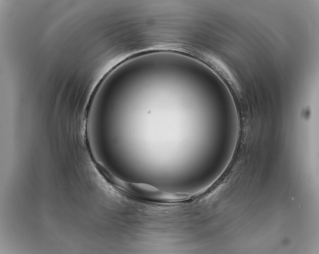 X0000091221284200708091400