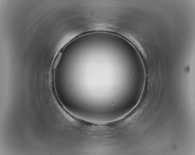 X0000091221285200708091400