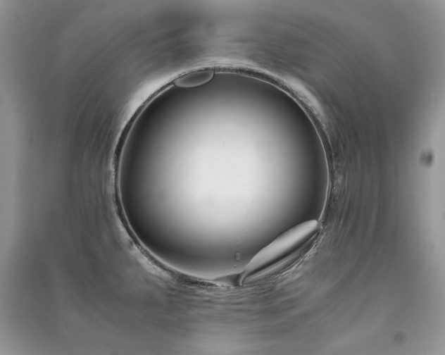 X0000091221287200708091400