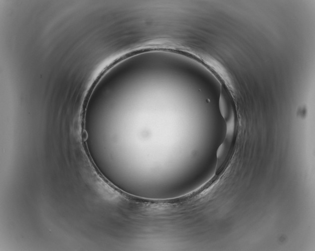 X0000091221288200708091400