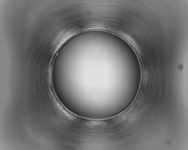 X0000091221290200708091400