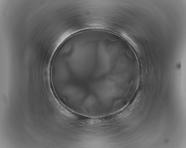 X0000091221291200708091400