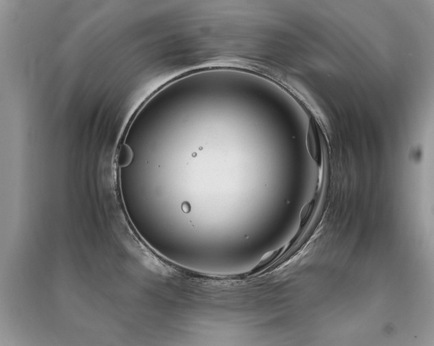 X0000091221292200708091400