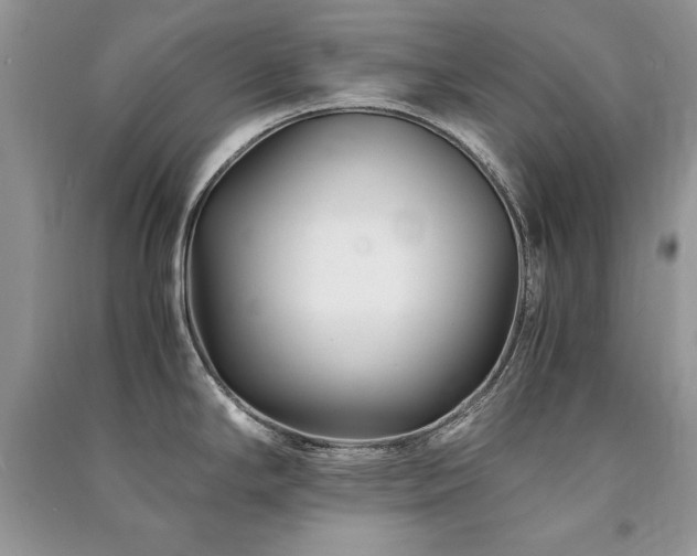 X0000091221294200708091400