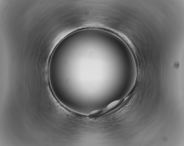 X0000091221295200708091400