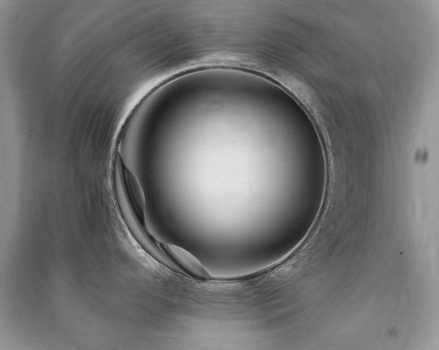 X0000091221296200708091400