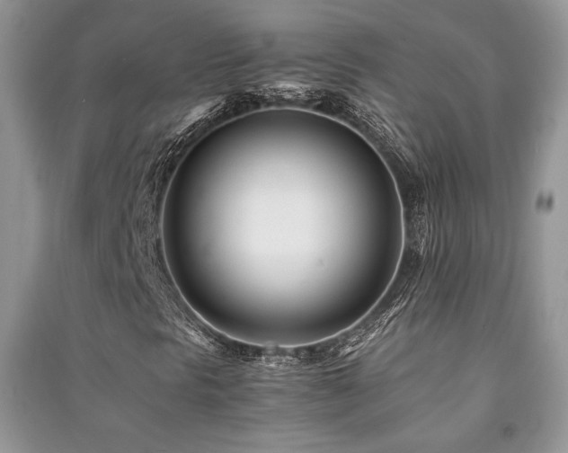 X0000091221297200708091359
