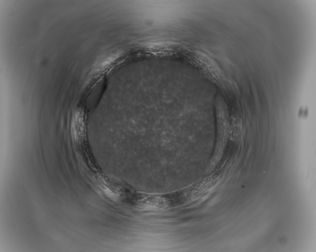 X0000091221298200708091359