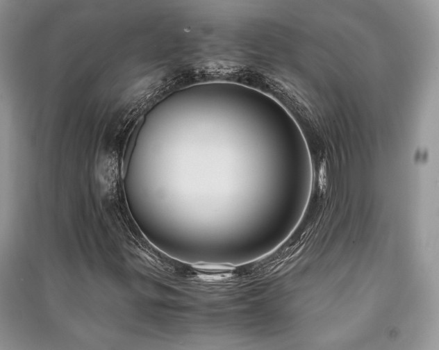 X0000091221299200708091359