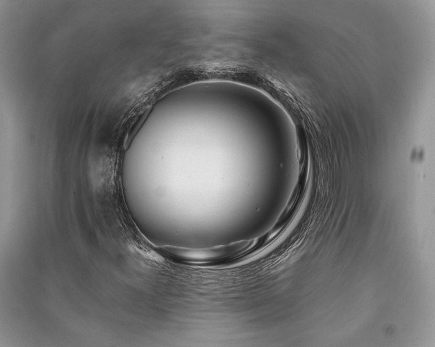 X0000091221300200708091359