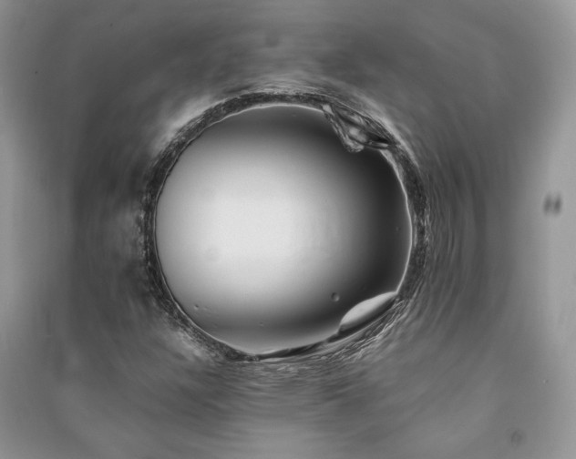 X0000091221304200708091400