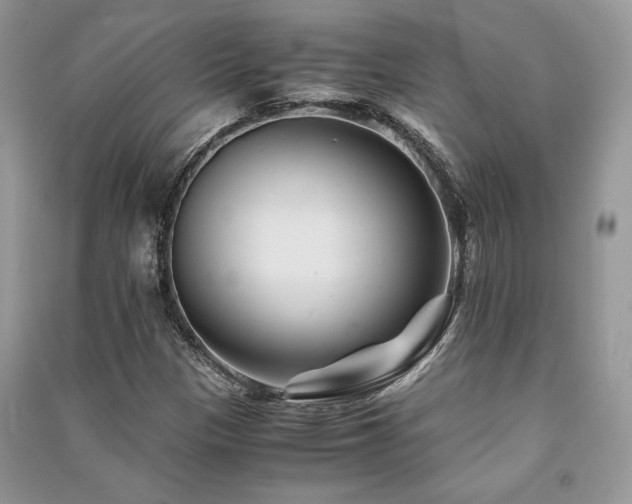 X0000091221305200708091400