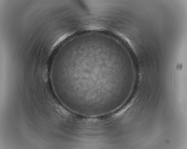 X0000091221306200708091400
