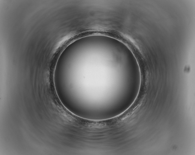 X0000091221307200708091400