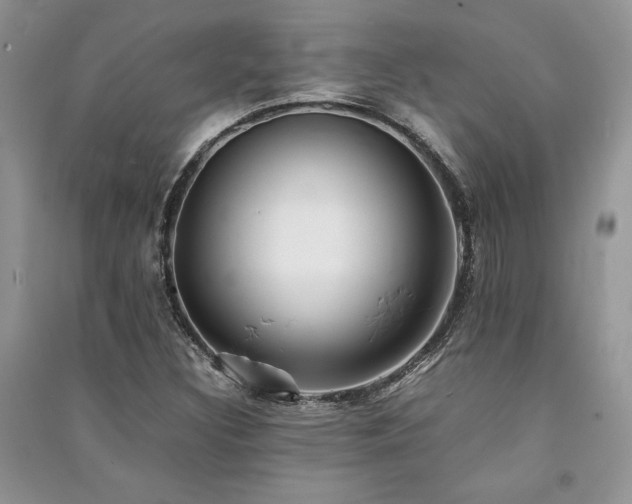 X0000091221308200708091400