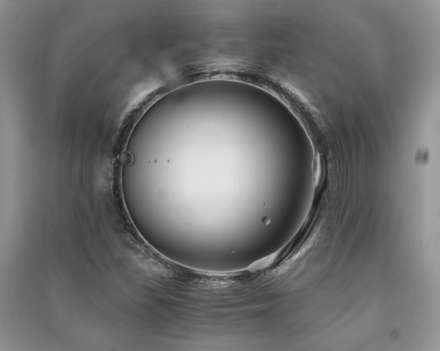 X0000091221309200708091400