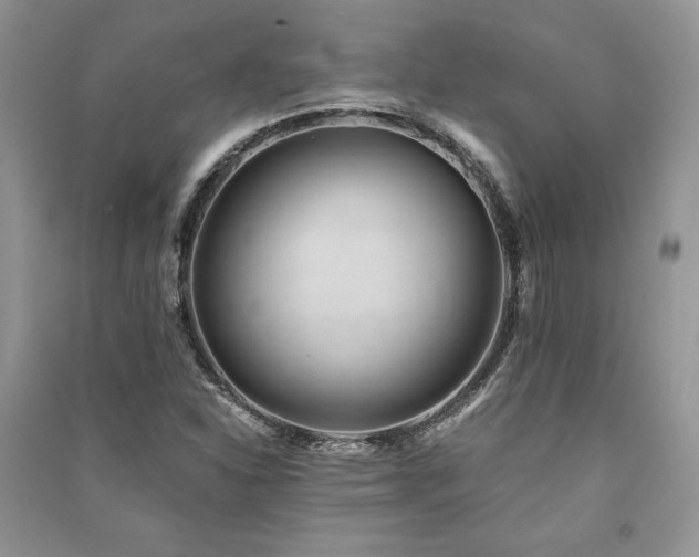 X0000091221310200708091400