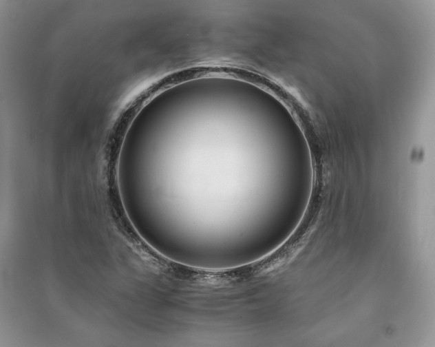 X0000091221311200708091400