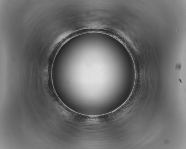 X0000091221315200708091400