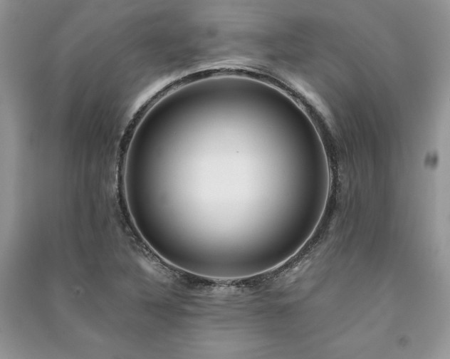 X0000091221316200708091400