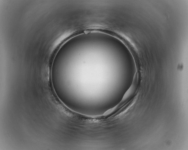 X0000091221317200708091400