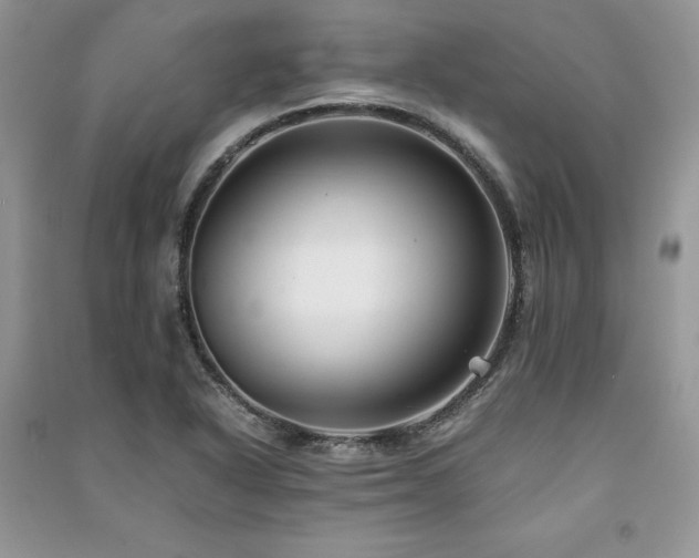 X0000091221318200708091400