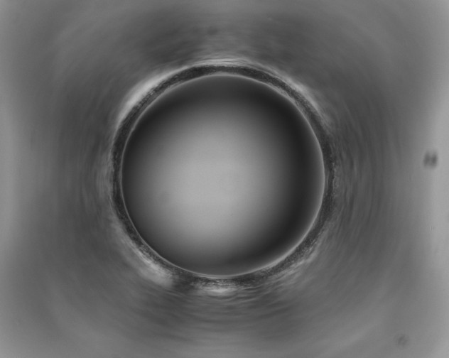 X0000091221319200708091400