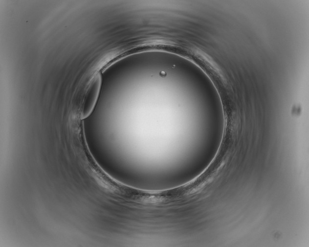X0000091221321200708091400