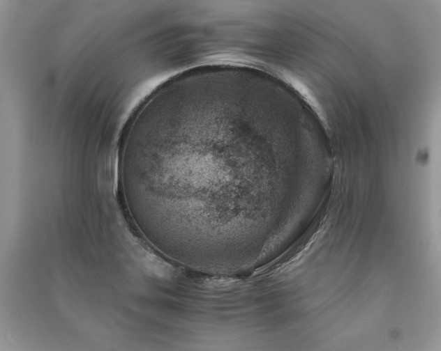 X0000091221323200708091400