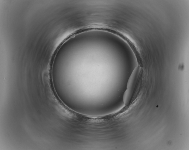 X0000091221325200708091400