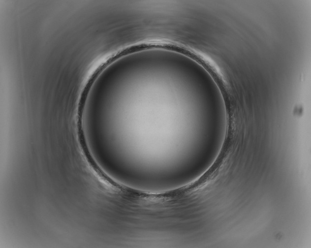 X0000091221327200708091400