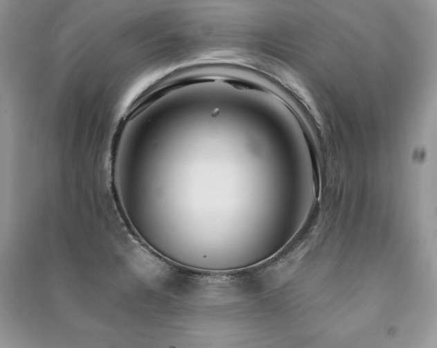 X0000091221328200708091400