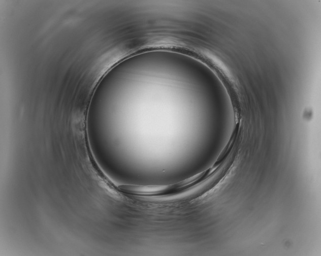 X0000091221329200708091400