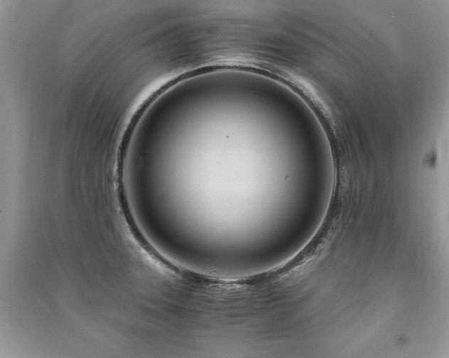 X0000091221331200708091400