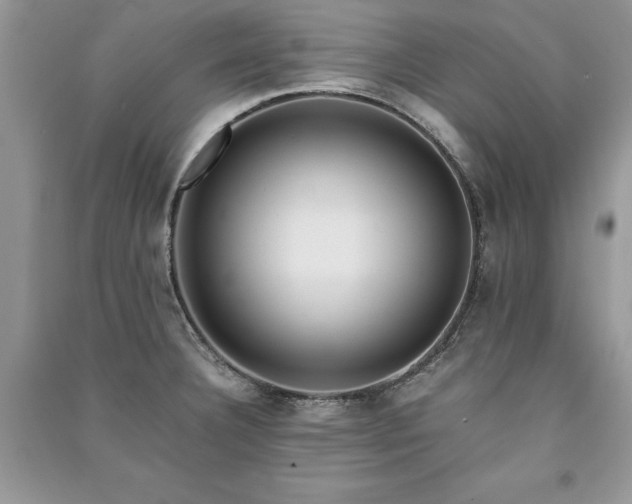 X0000091221332200708091400