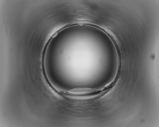 X0000091221333200708091400