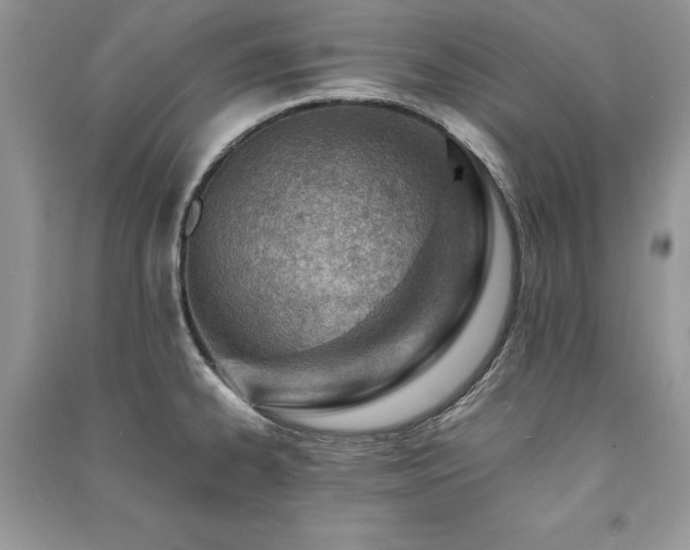 X0000091221334200708091400