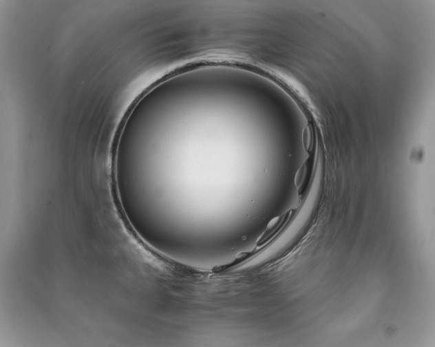 X0000091221335200708091400