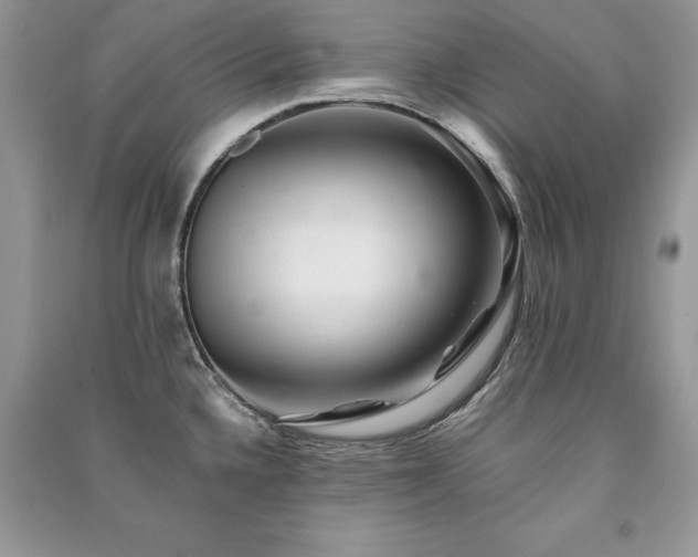 X0000091221336200708091400
